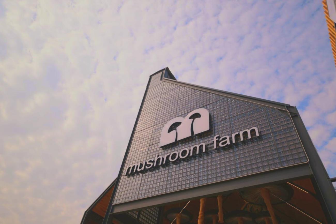 External view of Mushroom Farm